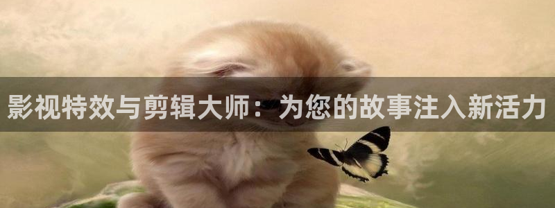 达达兔免费电影网