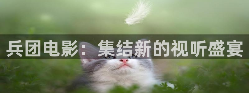 达达兔电影免费观看