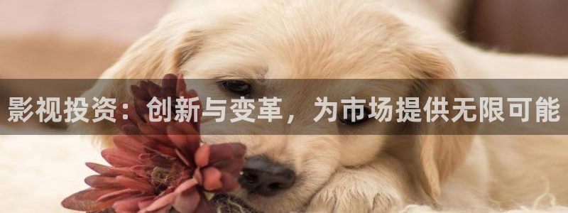 达达兔影视在线观看电视剧免费